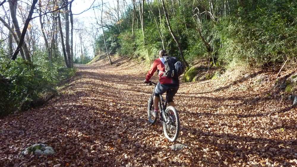 #1 Pierre Grosse : un tapis de feuilles recouvre la piste Pierre Grosse : un tapis de feuilles recouvre la piste