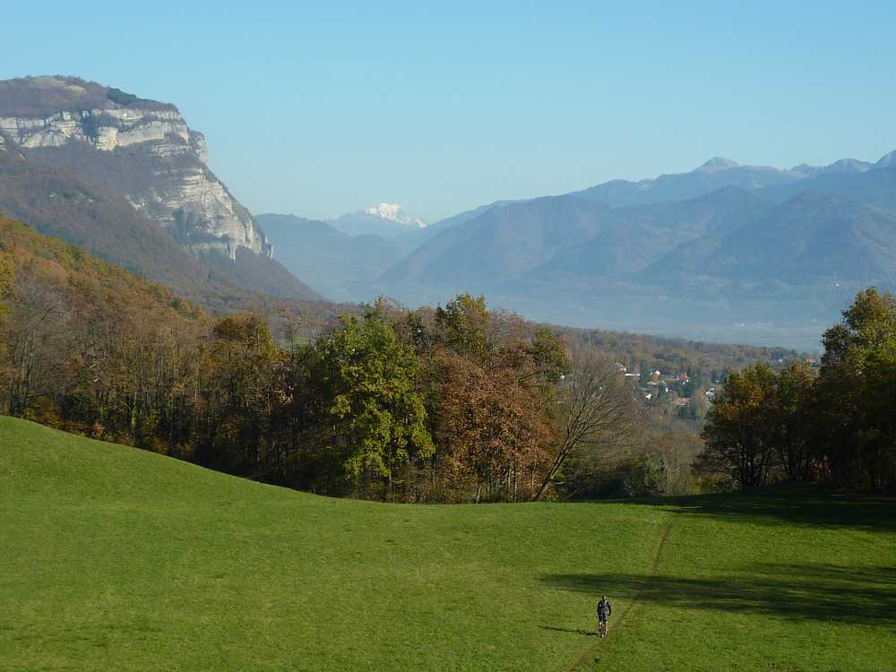 #11 Heidi dans les prés : le Mont Blanc est vraiment net aujourd Heidi dans les prés : le Mont Blanc est vraiment net aujourd'hui