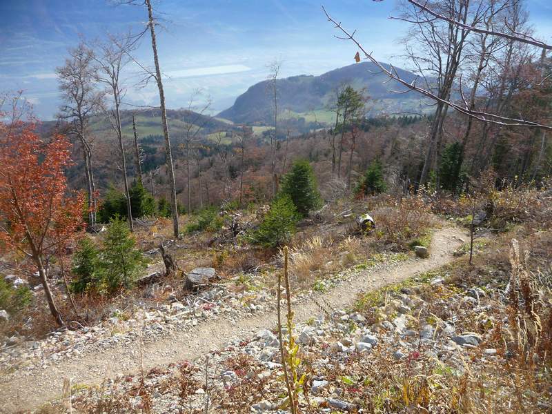 #2 Depuis la cabane de l Depuis la cabane de l'allier