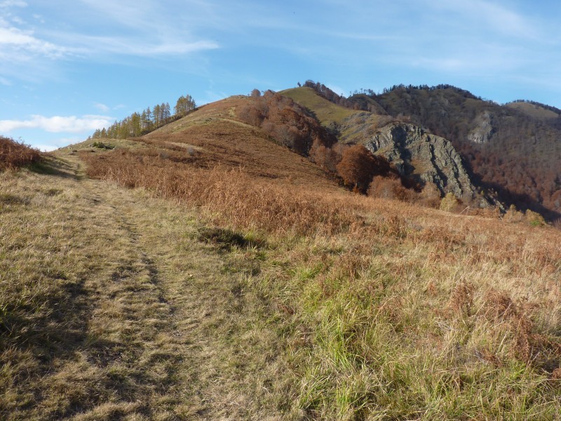 #11 Sarrat de Culède : Début de descente du Sarrat de Culède sur un superbe sentier. Sarrat de Culède : Début de descente du Sarrat de Culède sur un superbe sentier.