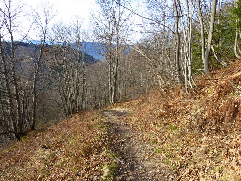 #12 Dent des Portes : Sentier de la Dt des Portes nickel Dent des Portes : Sentier de la Dt des Portes nickel