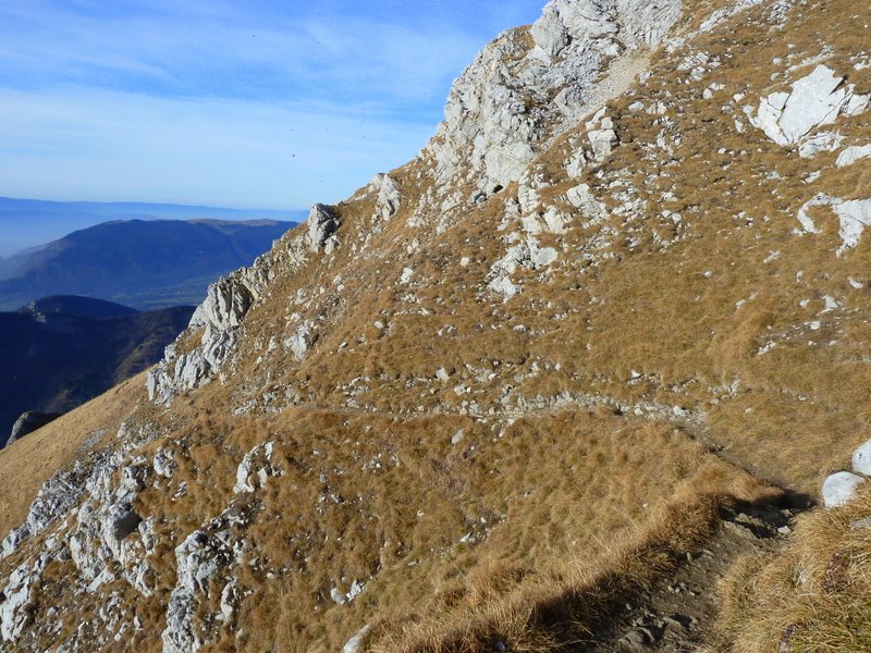 #9 Trélod : Haut du versant W Trélod : Haut du versant W