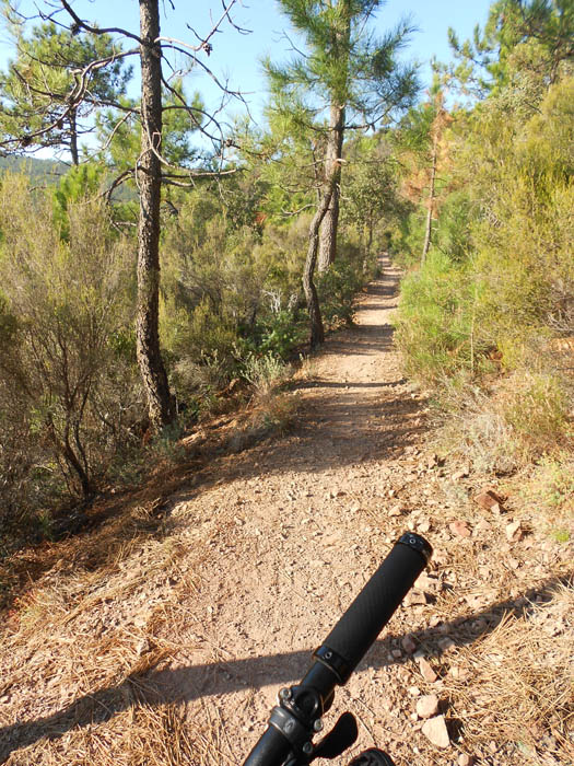 Sentier de Miramar : Bien roulant pour vous ramener en douceur sur le col de Théoule.