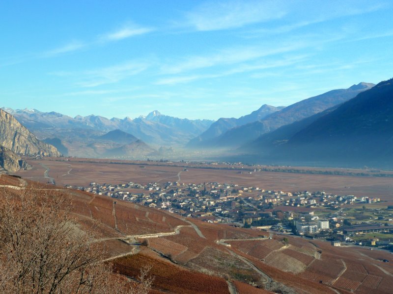 #1 Saillon : Départ agréable dans les vignes de Saillon Saillon : Départ agréable dans les vignes de Saillon