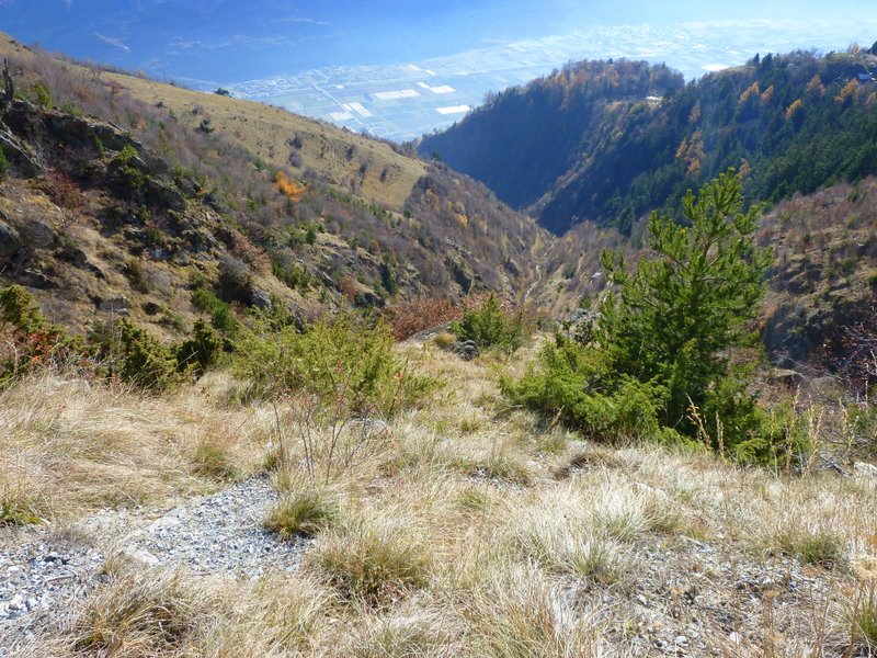#7 Descente sur Beudon : Le sentier de descente passe là... Descente sur Beudon : Le sentier de descente passe là...
