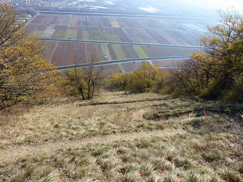 #13 Beudon : Arrivée bien épinglue dans les vignes Beudon : Arrivée bien épinglue dans les vignes