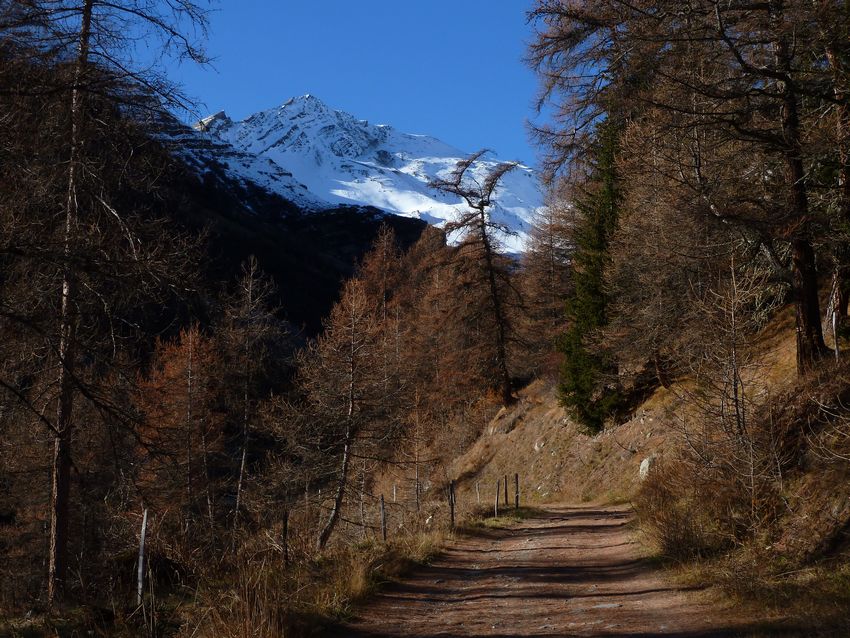 Piste du Prario : Grande Chible