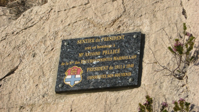 #14 Sentier du Président : Des sentiers crées par les marcheurs... Sentier du Président : Des sentiers crées par les marcheurs...
