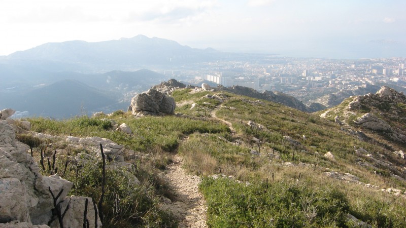 #4 Mont Carpiagne : En pleine peut-être future reserve intégrale, en bordure de la Muraille de Chine, les reste de l Mont Carpiagne : En pleine peut-être future reserve intégrale, en bordure de la Muraille de Chine, les reste de l'incendie parti du camp militaire de Carpiagne