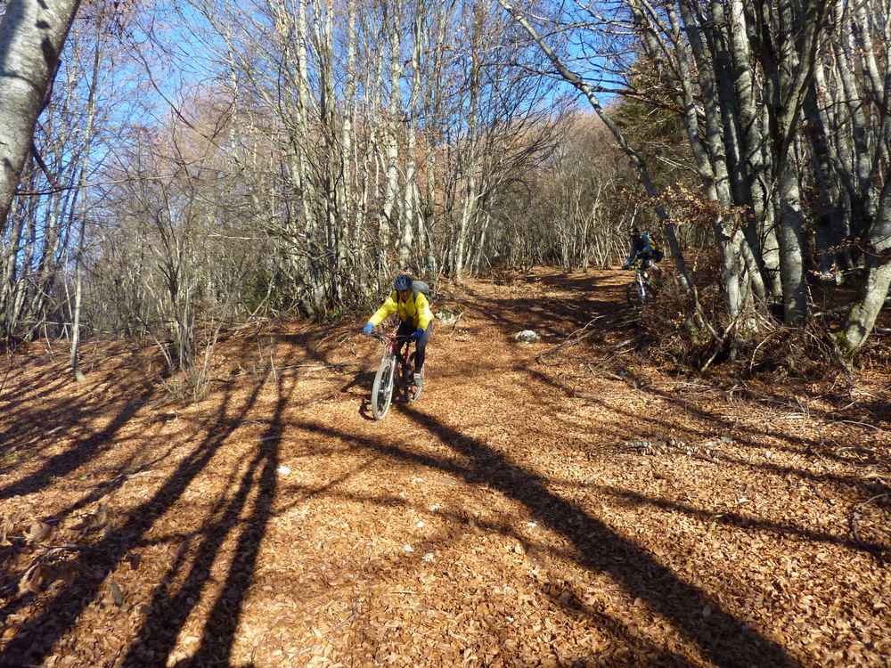#22 Pïerre bis : tout en glisse sur un tapis de feuilles Pïerre bis : tout en glisse sur un tapis de feuilles