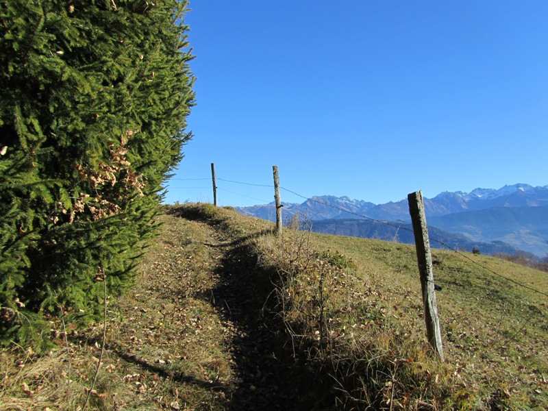 #4 Croix de l Croix de l'Alpe : La variante anti-goudron, pas pire!