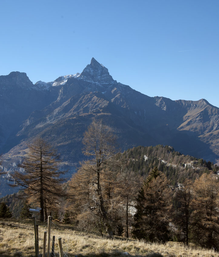 #6 Morcles : dans la montée, vue sur l Morcles : dans la montée, vue sur l'impressionnante face nord des dents du Midi