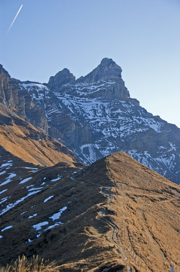 #15 Croix de Javerne : l Croix de Javerne : l'arête et au fond la dent de Morcles
