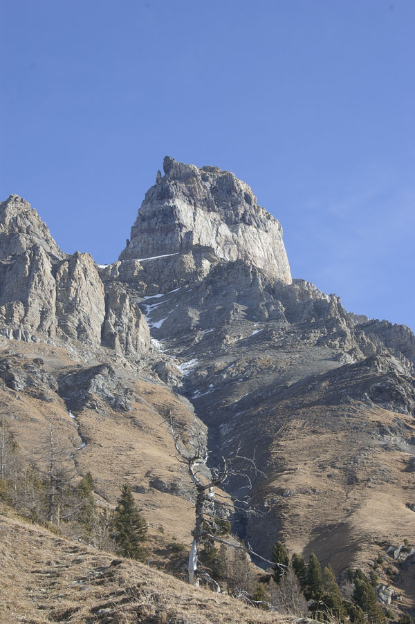 Rionda : la dent de Morcles de ses 2968 m domine l'alpage de Rionda