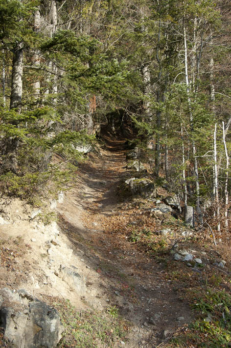#12 Au d Au d'Arbignon : Sentier en forêt entre l'Au d'Arbignon et Collonges