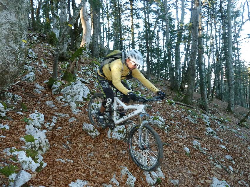 #8 Roche Veyrand, descente : Feuilles et calcaire Roche Veyrand, descente : Feuilles et calcaire