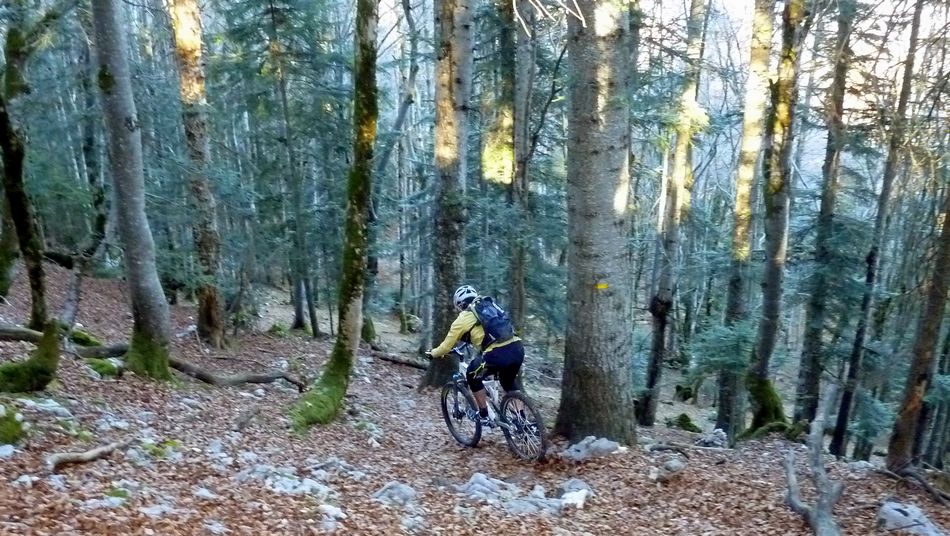 #9 Roche Veyrand, descente : single sympathique Roche Veyrand, descente : single sympathique
