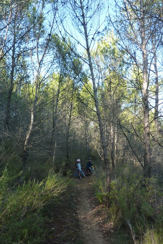 #6 Entre les arbres : Partie joueuse par excellence, mais vraiment trop courte... Les enfants se sont régalé (pas qu Entre les arbres : Partie joueuse par excellence, mais vraiment trop courte... Les enfants se sont régalé (pas qu'eux)