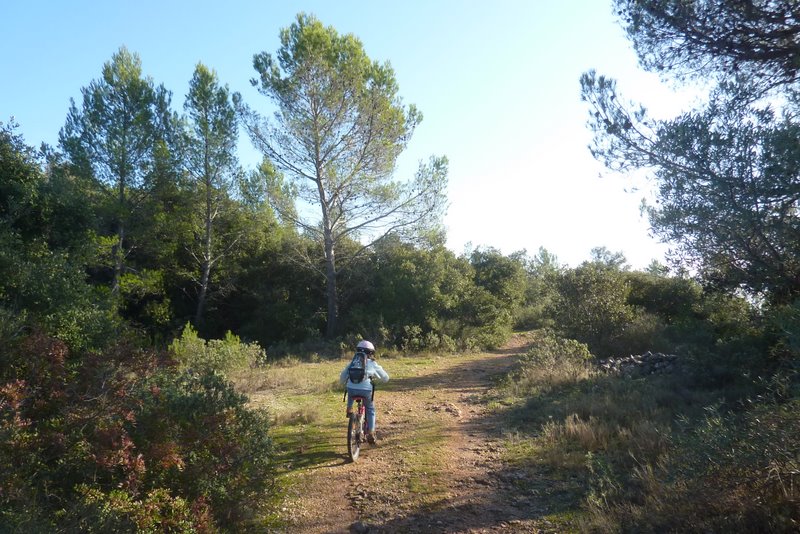 #4 Le sentier se rétrécit : Bientôt la descente commence Le sentier se rétrécit : Bientôt la descente commence