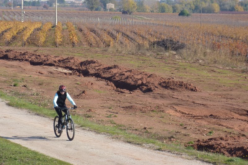 #8 Vignobles varois : Mylène perdue dans un Vignoble Vignobles varois : Mylène perdue dans un Vignoble