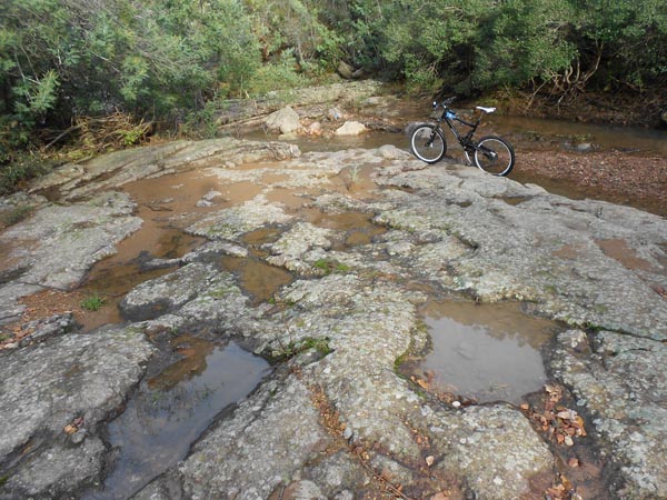 Bordure du ruisseau : Dans le vallon de Maure Vieil.