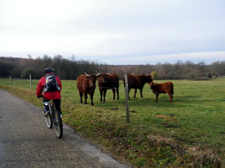 #2 MeuhMeuh : ... et ses vaches MeuhMeuh : ... et ses vaches