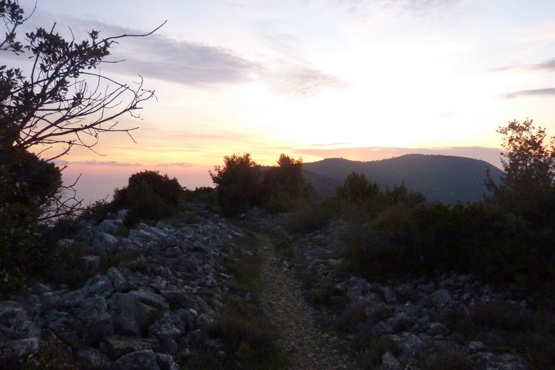 Mont Bataille : Entre chiens et loups