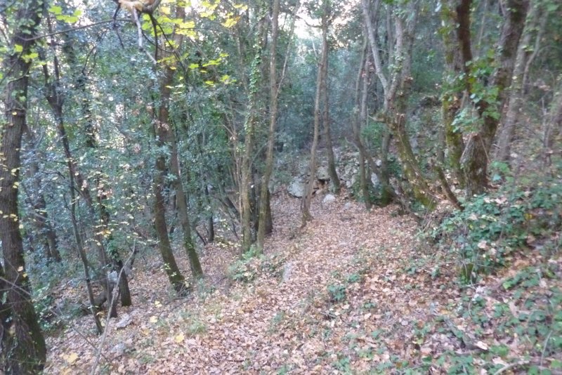 #4 La Couletta de la Grave : Sentier recouvert de feuilles mortes La Couletta de la Grave : Sentier recouvert de feuilles mortes