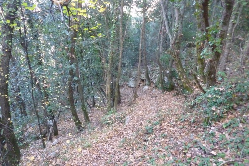 La Couletta de la Grave : Sentier recouvert de feuilles mortes