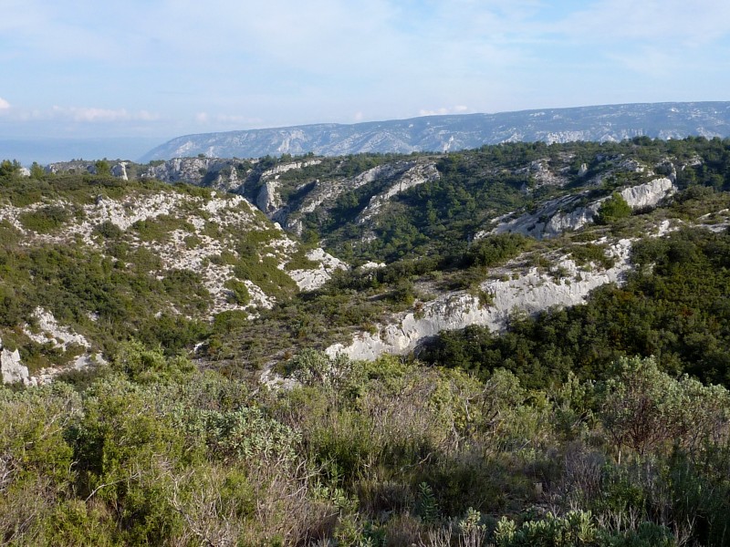 #1 Vallon de Mestre : Le sentier est caché au fond ! Vallon de Mestre : Le sentier est caché au fond !