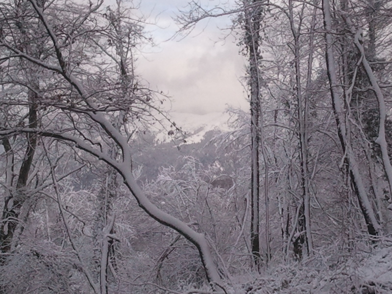 #8 Paysage neigeux Paysage neigeux