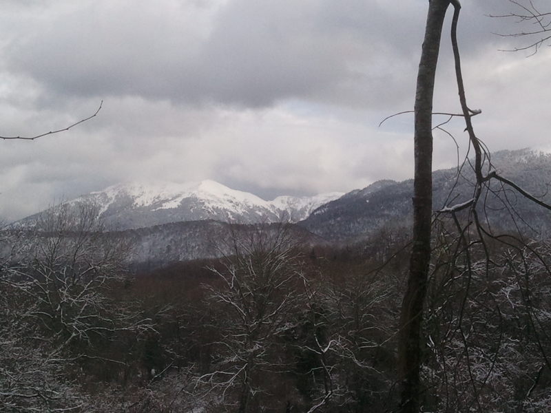 #10 Le Cagire : On a basculé versant Sud. Le pic de Cagire vient agrémenter le paysage. Le Cagire : On a basculé versant Sud. Le pic de Cagire vient agrémenter le paysage.
