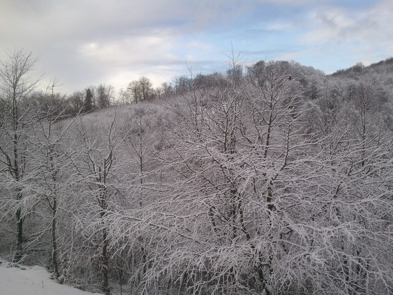 #5 Premières neiges basses : Paysage neigeux Premières neiges basses : Paysage neigeux
