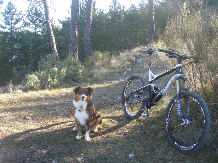 #1 Cima : Maxxis versus coussinets : qui va gagner ?? Cima : Maxxis versus coussinets : qui va gagner ??