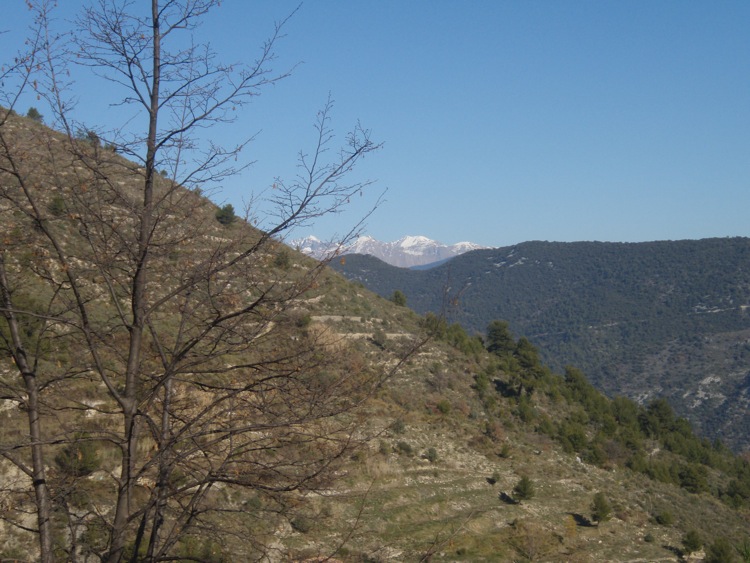 #7 Cima : Vu Capelet / Diable Cima : Vu Capelet / Diable
