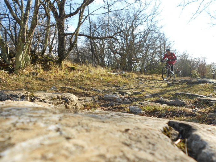 #8 Bois d Bois d'Amont : Retour sur Saint-Vallier.
