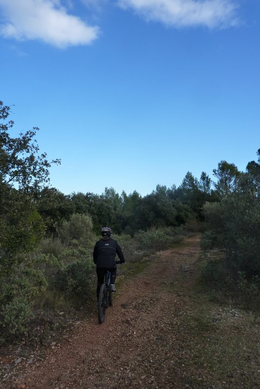 #12 Piste des Crêtes : Ça pique aujourd Piste des Crêtes : Ça pique aujourd'hui !