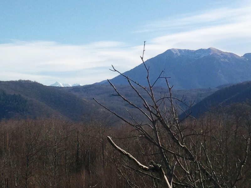 #13 Du haut de la palombière : Le pic du cagire Du haut de la palombière : Le pic du cagire