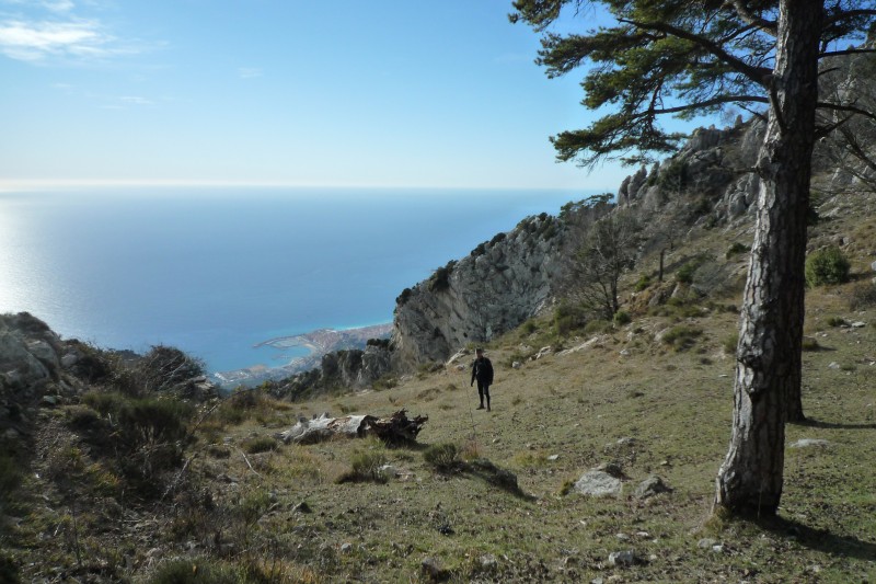 #2 Au sommet : Au col du berceau, sous le soleil, la vue somptueuse sur Menton et la mer... Au sommet : Au col du berceau, sous le soleil, la vue somptueuse sur Menton et la mer...