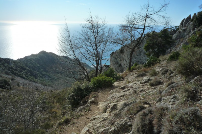 #3 DH du berceau : Vue sur le départ de la descente du berceau, sous le col.
Technique et exigeant... DH du berceau : Vue sur le départ de la descente du berceau, sous le col.
Technique et exigeant...