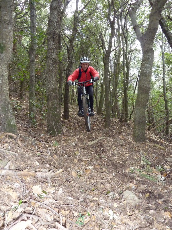 Sommet du Bach : Un single bien sauvage. Il n'a pas du voir beaucoup de vtt celui là!!!