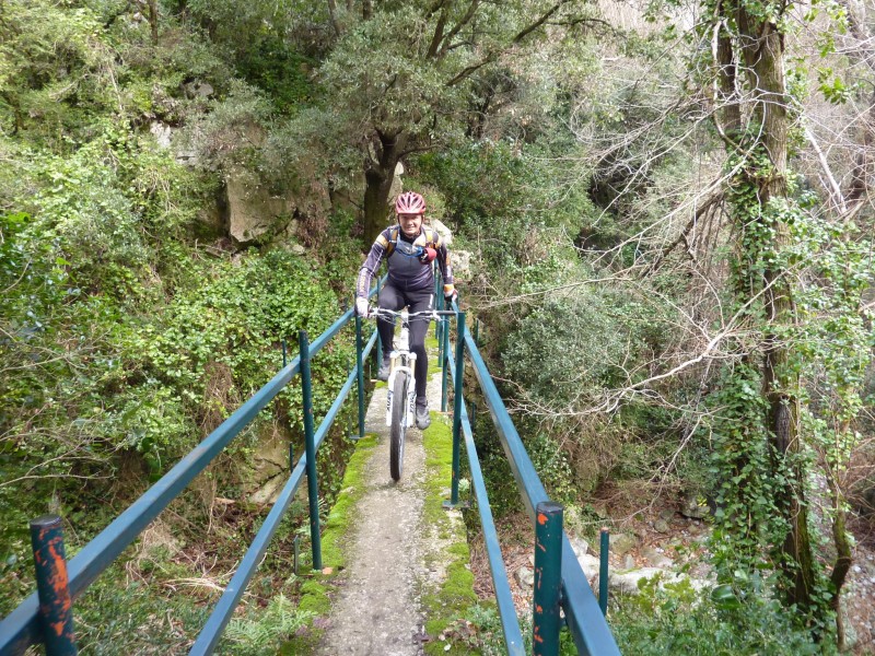 Passerelle étroite : Ce n'est pas étudié pour les cintres larges