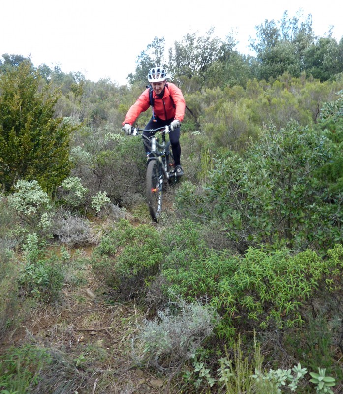 #6 Sommet du Bach : Départ en mode sanglier Sommet du Bach : Départ en mode sanglier