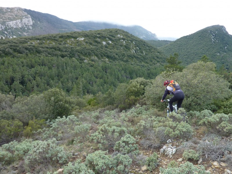#5 Il est où le sentier ? : Départ du sommet du Bach Il est où le sentier ? : Départ du sommet du Bach