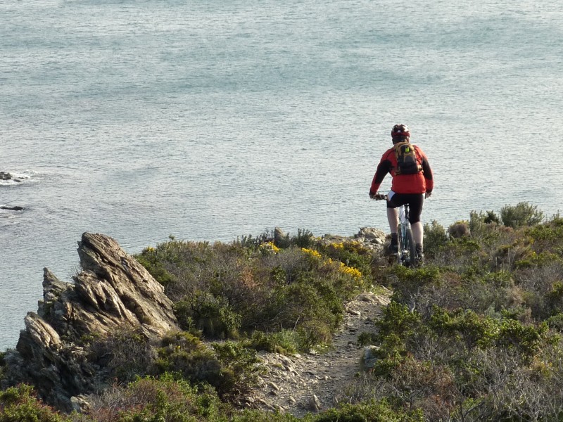 #3 Plongeon sur la mer : Superbe ce sentier littoral Plongeon sur la mer : Superbe ce sentier littoral