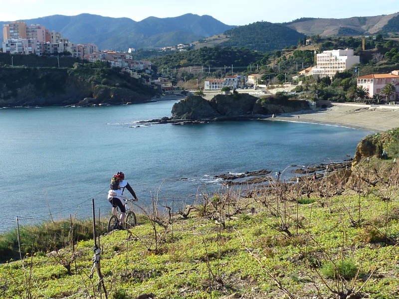 #8 Arrivée à Banyuls : C Arrivée à Banyuls : C'est la fin du sentier littoral