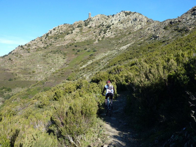 #14 Sentier en balcon : sous la Madeloc Sentier en balcon : sous la Madeloc