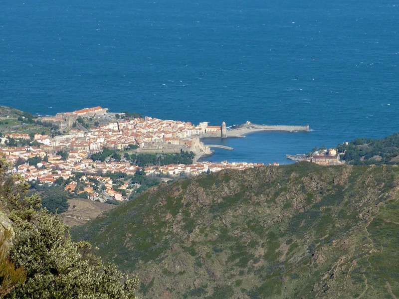 #11 Collioure : Vu de la Madeloc Collioure : Vu de la Madeloc