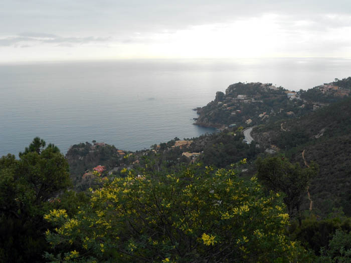 #1 Miramar : C Miramar : C'est tellement plus joli avec le soleil... dommage !