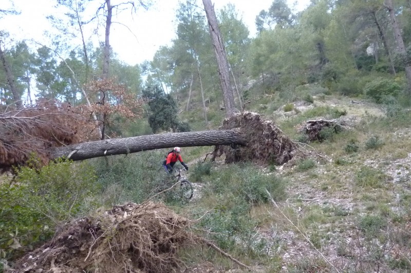 Obstacle naturel : En arrivant au lac de Saint Rémy